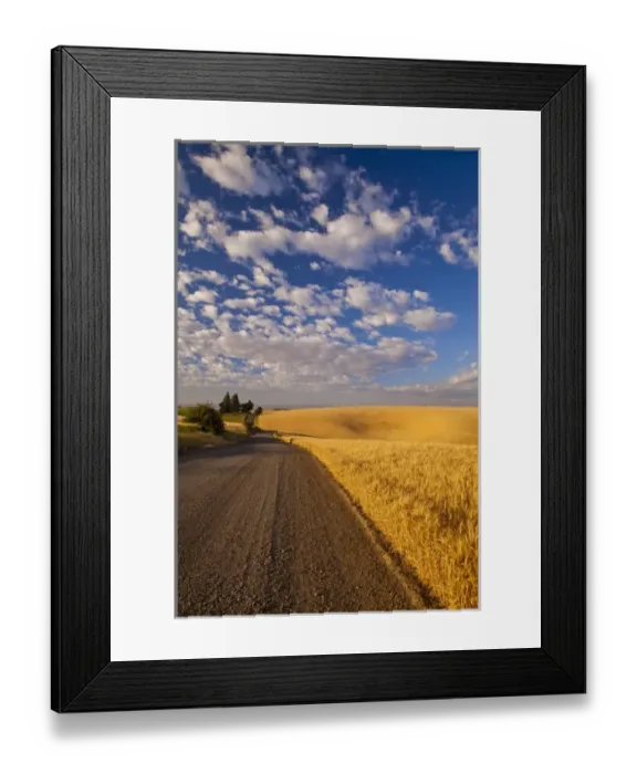 Framed Print : Gravel road winds along ripe wheat fields, near Kendrick, Idaho, USA Framed Print : Gravel road winds along ripe wheat fields, near Kendrick, Idaho, USA
