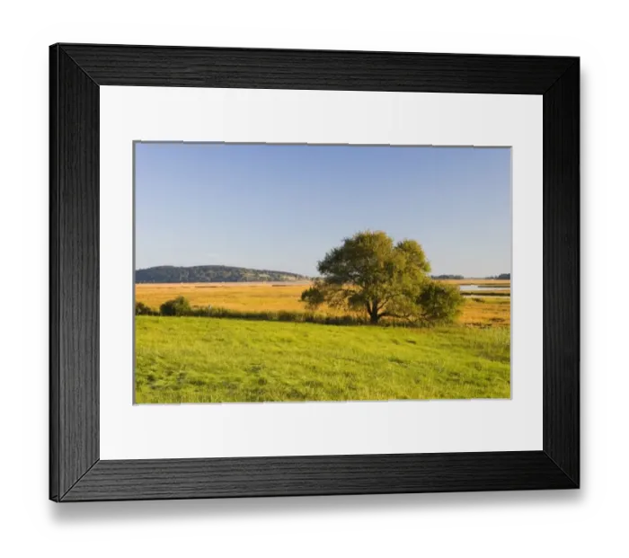 Framed Print : USA, North America, Massachusetts Framed Print : USA, North America, Massachusetts