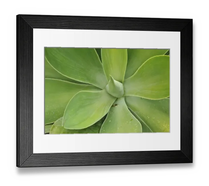 Framed Print : USA, North America, Hawaii