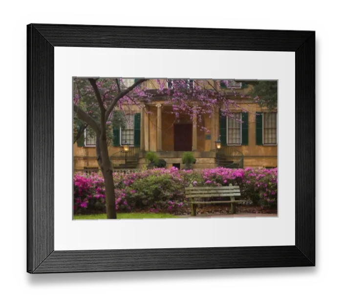 Framed Print : USA, Georgia, Savannah Framed Print : USA, Georgia, Savannah