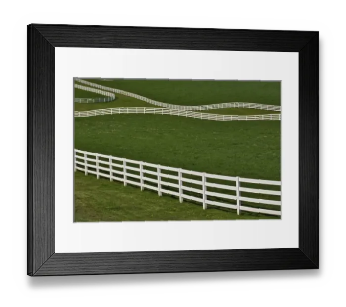 Framed Print : White fence winding across Calumet horse farm, Lexington, Kentucky Framed Print : White fence winding across Calumet horse farm, Lexington, Kentucky