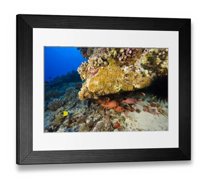 Framed Print : USA, North America, Hawaii Framed Print : USA, North America, Hawaii