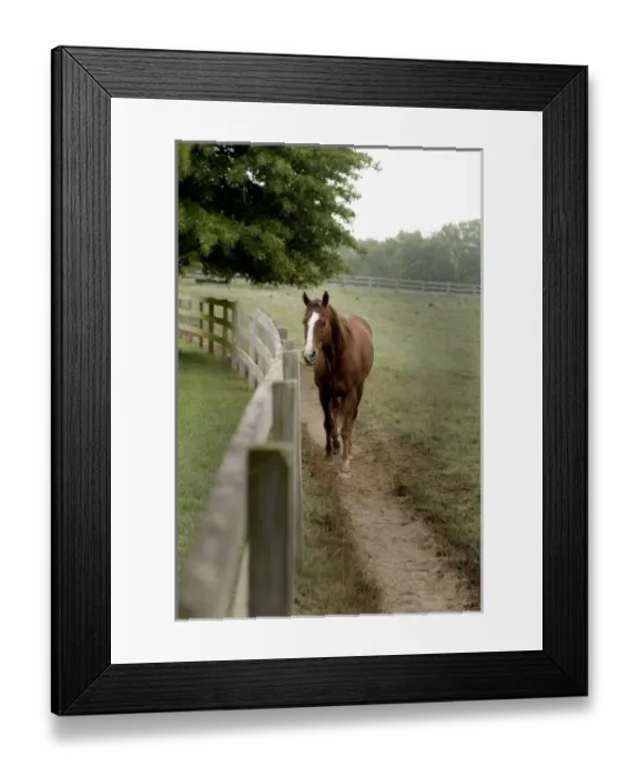 Framed Print : USA, North America, Missouri
