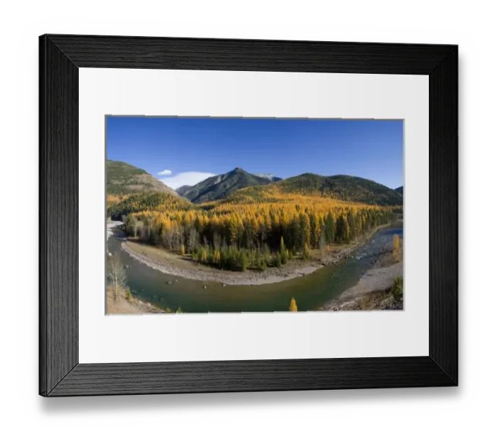 Framed Print : Middle Fork of the Flathead River in autumn near Essex Montana Framed Print : Middle Fork of the Flathead River in autumn near Essex Montana