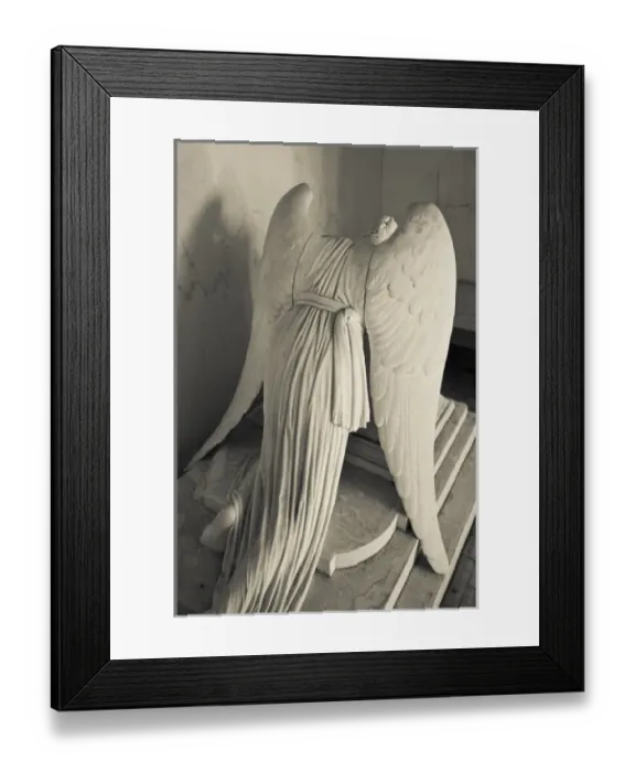 Framed Print : USA, North America, Louisiana Framed Print : USA, North America, Louisiana