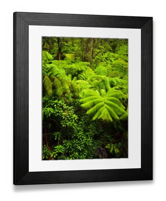 Framed Print : USA, North America, Hawaii Framed Print : USA, North America, Hawaii