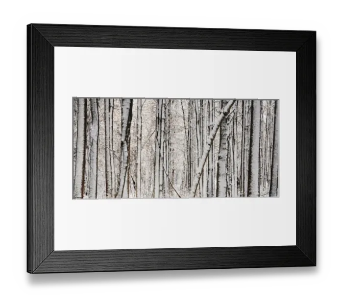 Framed Print : USA, Indianapolis, Indiana, Eagle Creek City Park Framed Print : USA, Indianapolis, Indiana, Eagle Creek City Park