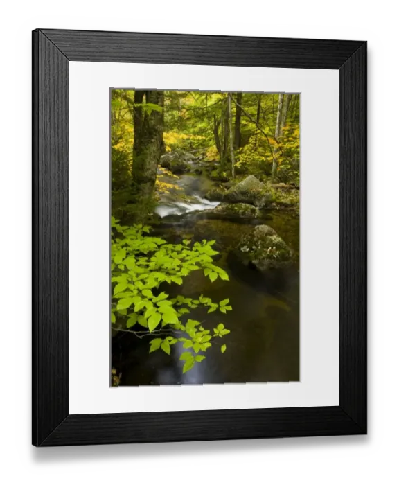 Framed Print : USA, North America, New Hampshire Framed Print : USA, North America, New Hampshire