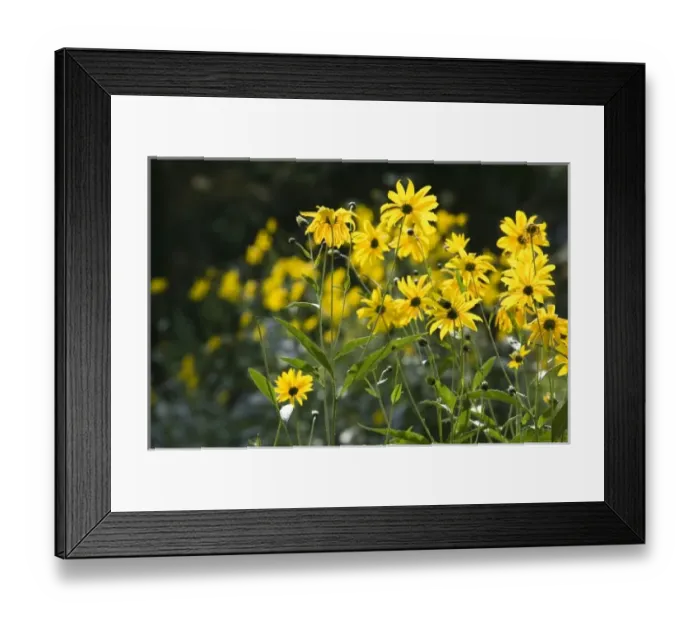 Framed Print : USA, North America, Massachusetts Framed Print : USA, North America, Massachusetts