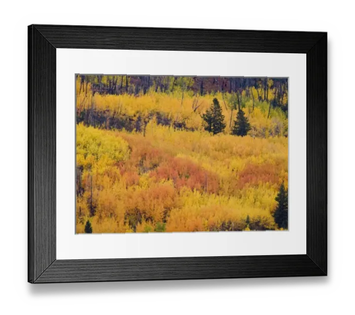 Framed Print : USA, North America, Montana
