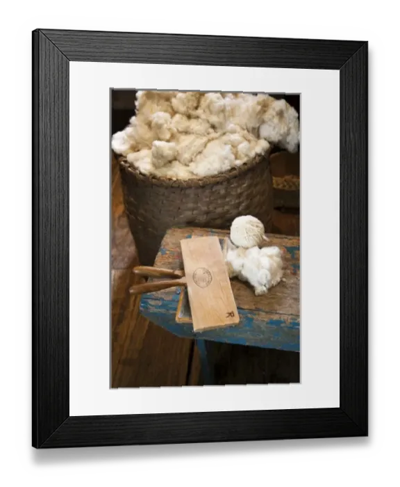 Framed Print : USA, North America, Louisiana Framed Print : USA, North America, Louisiana