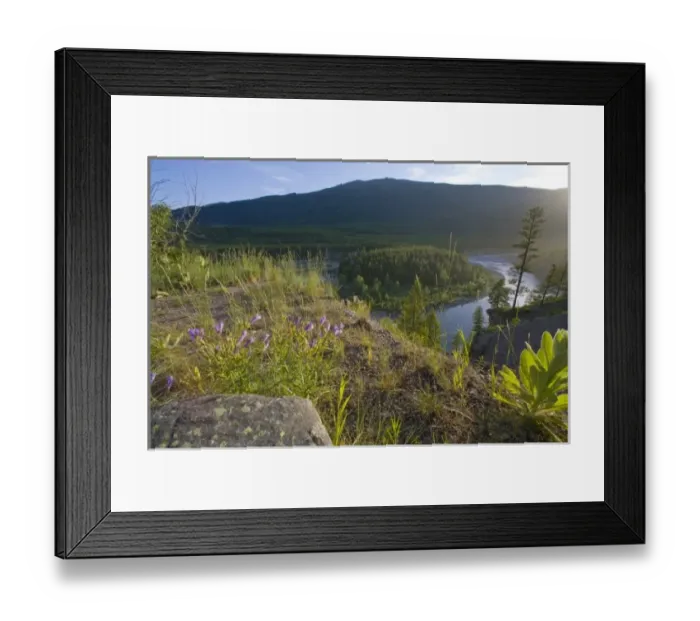 Framed Print : USA, North America, Montana