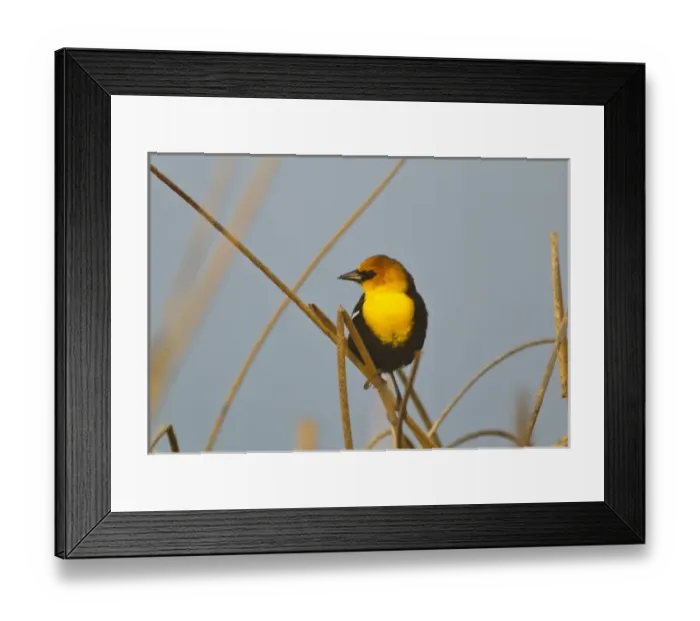 Framed Print : USA, North America, Montana Framed Print : USA, North America, Montana