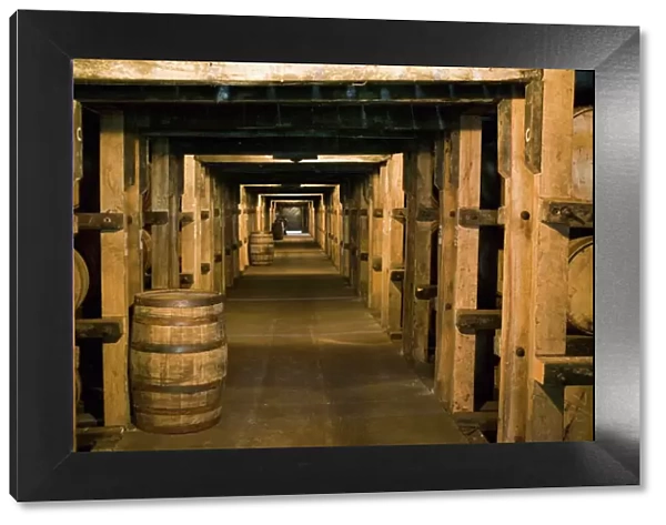 USA, Kentucky, Loretto: Makers Mark Bourbon Distillery, Aging Bourbon in Barrels