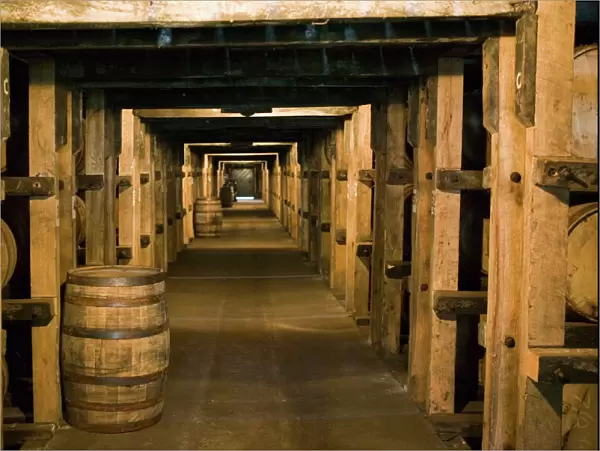 USA, Kentucky, Loretto: Makers Mark Bourbon Distillery, Aging Bourbon in Barrels
