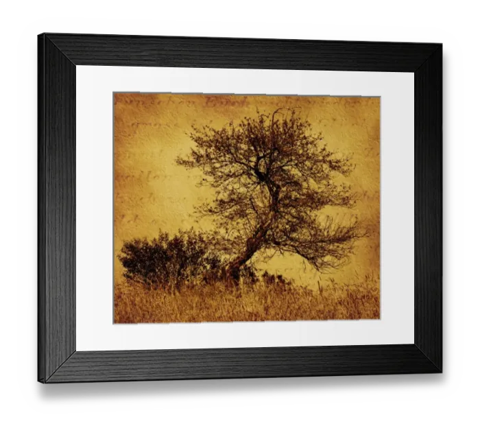 Framed Print : USA, North America, Maine Framed Print : USA, North America, Maine