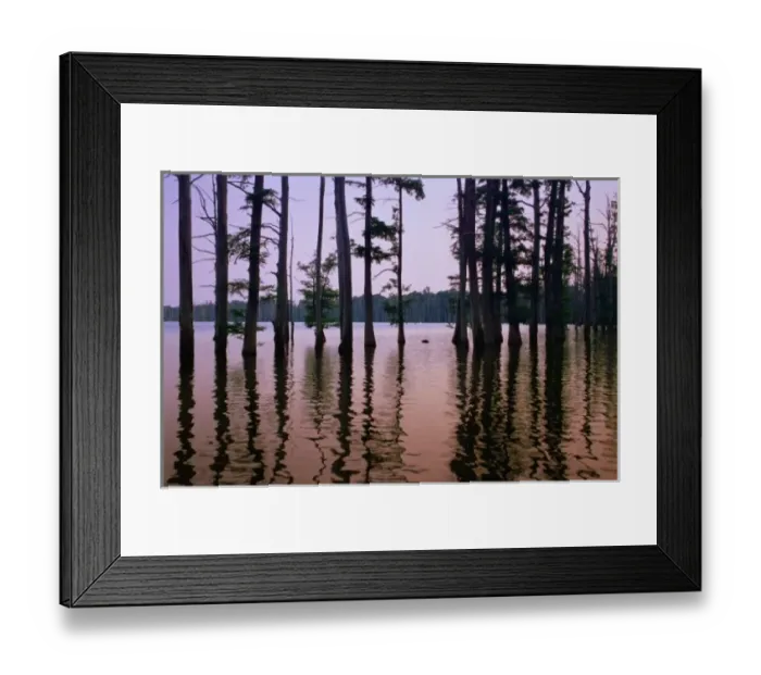 Framed Print : USA, southern Indiana, Hovey Lake Park