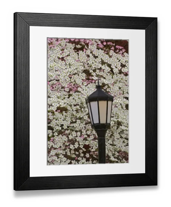 Framed Print : USA, North America, Kentucky Framed Print : USA, North America, Kentucky