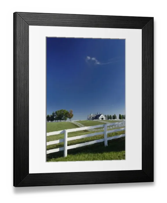 Framed Print : Manchester horse farm, Lexington, Kentucky Framed Print : Manchester horse farm, Lexington, Kentucky