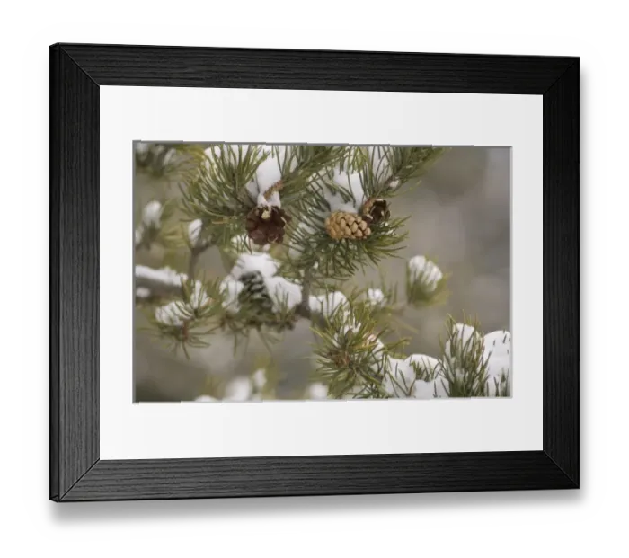 Framed Print : USA, North America, Minnesota Framed Print : USA, North America, Minnesota