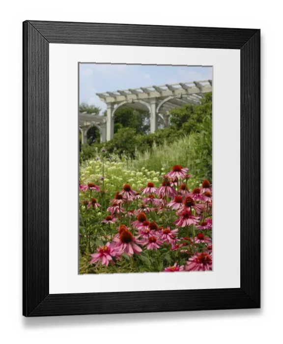 Framed Print : USA, North America, Massachusetts Framed Print : USA, North America, Massachusetts