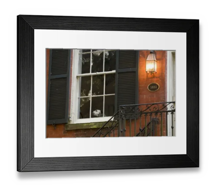 Framed Print : USA; Georgia; Savannah. Dog at window of home in Historic District. (PR) Framed Print : USA; Georgia; Savannah. Dog at window of home in Historic District. (PR)