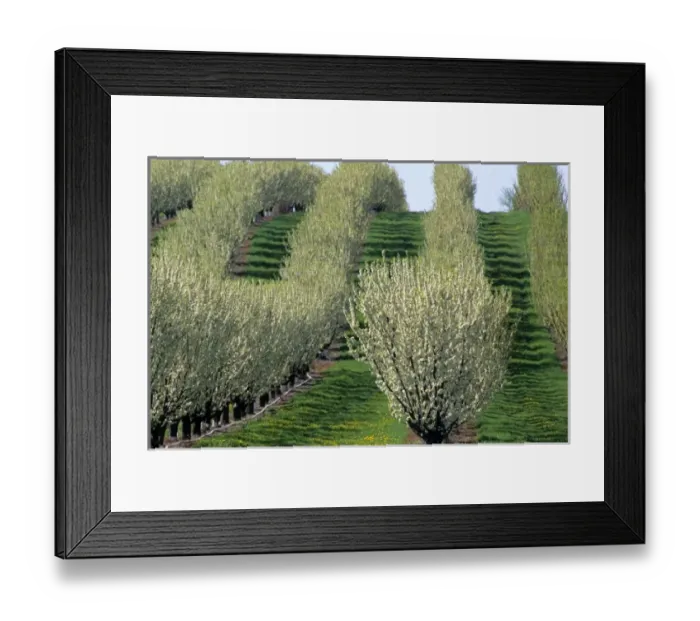 Framed Print : USA, North America, Idaho Framed Print : USA, North America, Idaho