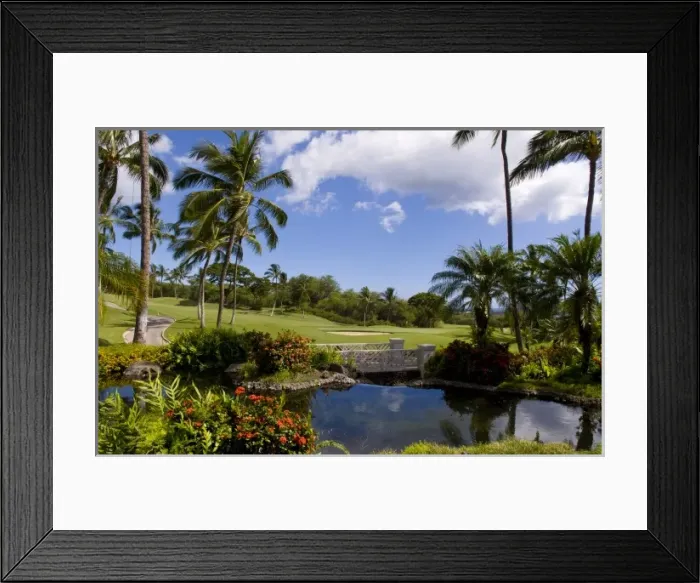 Framed Print : The 18th hole at Wailea Golf Course, south shore of Maui, Hawaii Framed Print : The 18th hole at Wailea Golf Course, south shore of Maui, Hawaii