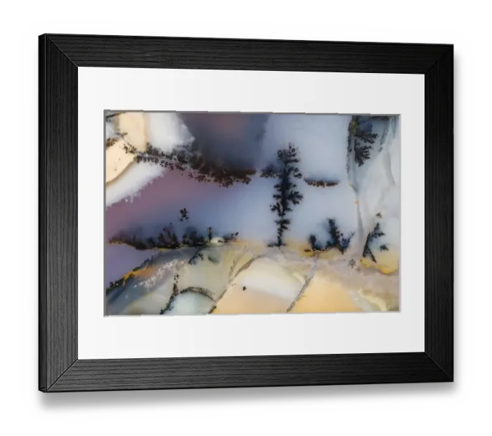 Framed Print : USA, Nevada. Close-up of amethyst sage agate