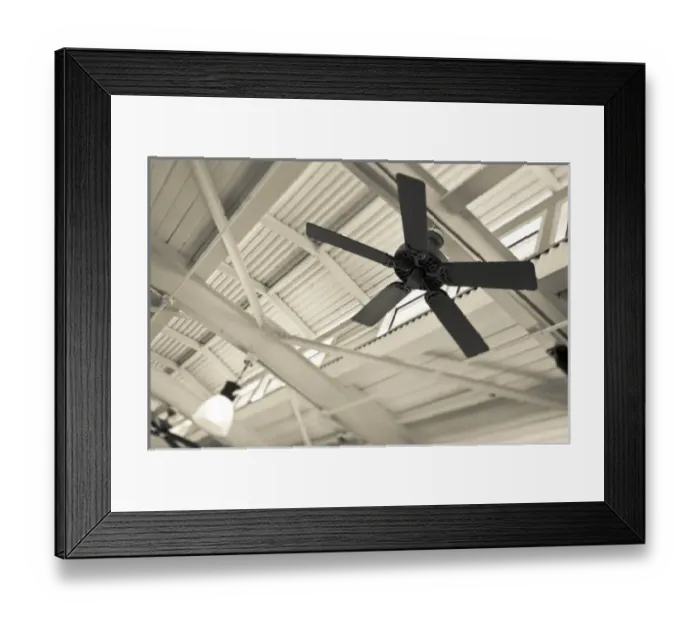 Framed Print : USA, North America, Louisiana Framed Print : USA, North America, Louisiana