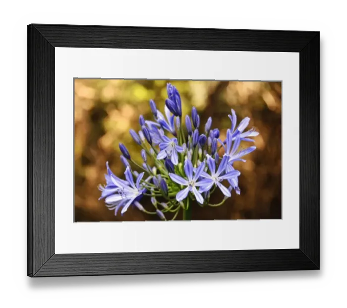 Framed Print : USA, North America, Hawaii Framed Print : USA, North America, Hawaii