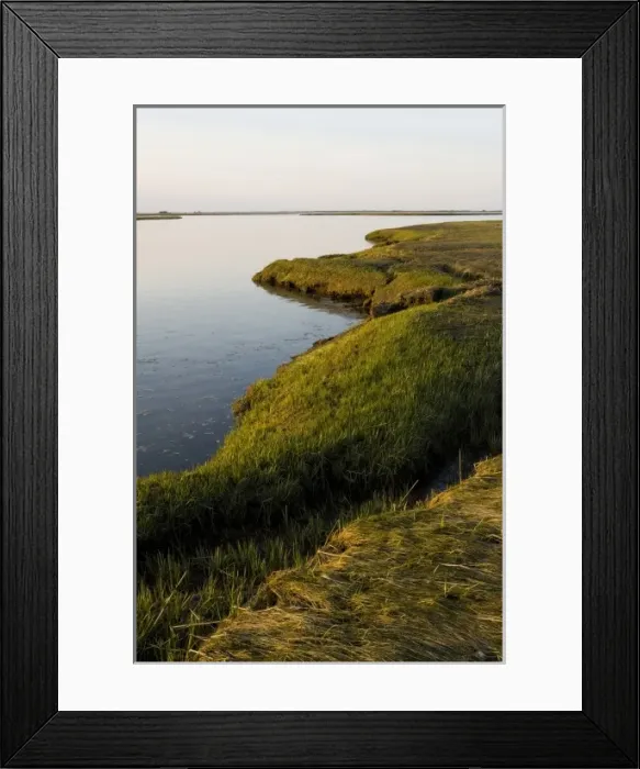 Framed Print : Salt marsh in spring. Strawberry Hill Preserve in Ipswich, Massachusetts. Eagle Hill River Framed Print : Salt marsh in spring. Strawberry Hill Preserve in Ipswich, Massachusetts. Eagle Hill River