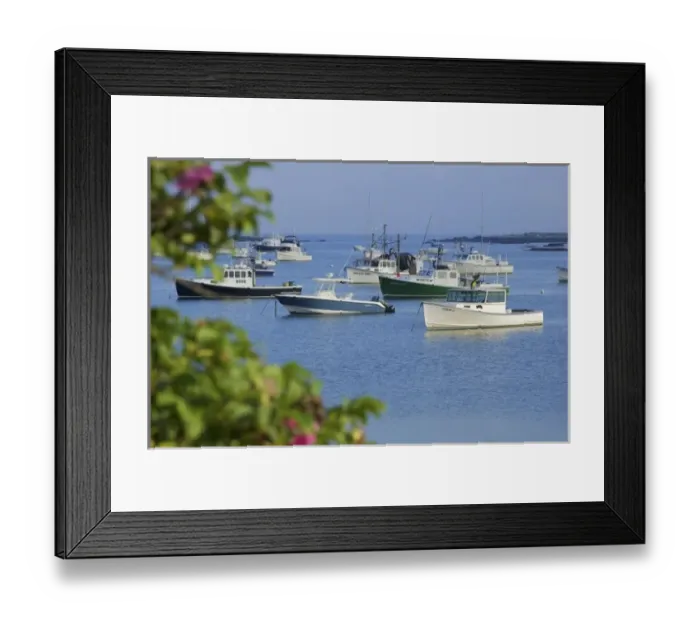 Framed Print : USA, New England, Maine, Kennebunkport, boats moored in harbor Framed Print : USA, New England, Maine, Kennebunkport, boats moored in harbor