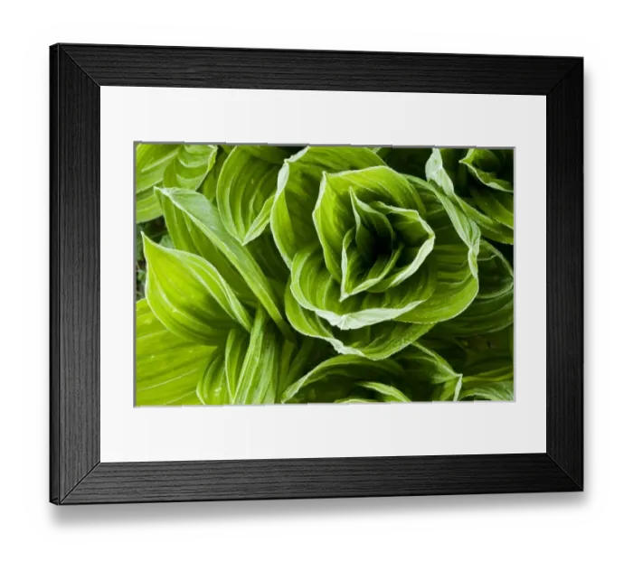 Framed Print : USA, North America, New Hampshire Framed Print : USA, North America, New Hampshire