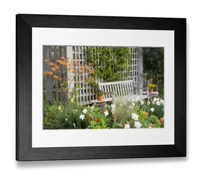 Framed Print : USA, North America, Georgia