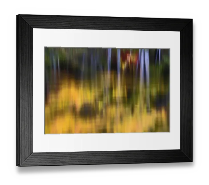 Framed Print : USA, North America, Maine Framed Print : USA, North America, Maine