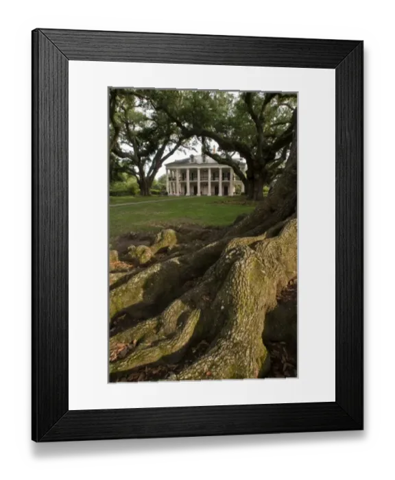 Framed Print : USA, Louisiana, St. James Parish, Vacherie. Oak Alley Plantation house seen beyond Framed Print : USA, Louisiana, St. James Parish, Vacherie. Oak Alley Plantation house seen beyond