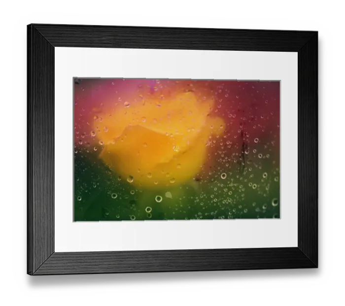 Framed Print : USA, North America, Maine