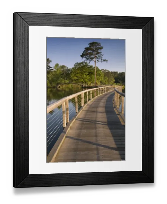 Framed Print : Bridge over a small pond during sunrise, Georgia, USA