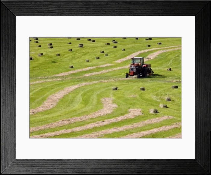 Framed Print : USA, North America, Idaho Framed Print : USA, North America, Idaho