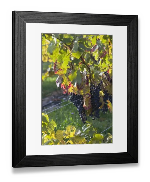Framed Print : USA, North America, Michigan Framed Print : USA, North America, Michigan