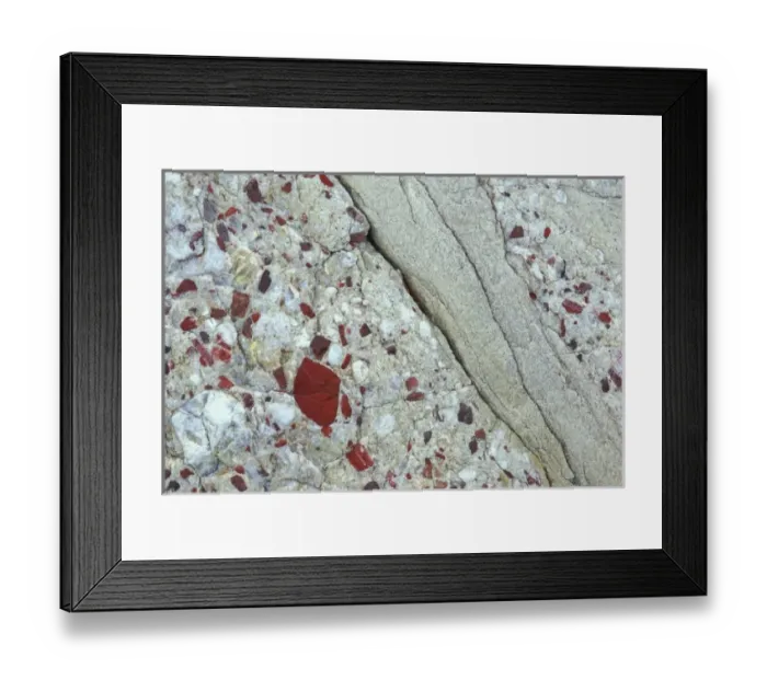 Framed Print : USA, Michigan, Drummond Island, Conglomerate of pudding stone, jasper quartz, and quartzite rocks Framed Print : USA, Michigan, Drummond Island, Conglomerate of pudding stone, jasper quartz, and quartzite rocks