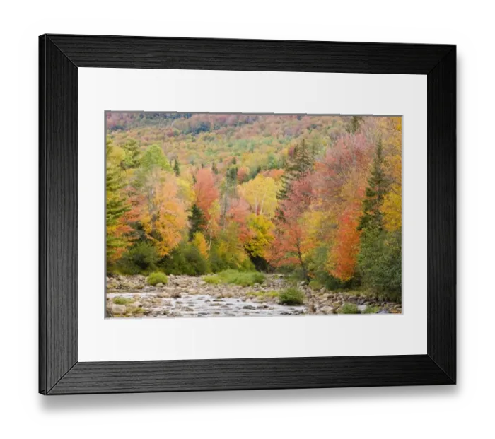 Framed Print : USA, North America, Maine