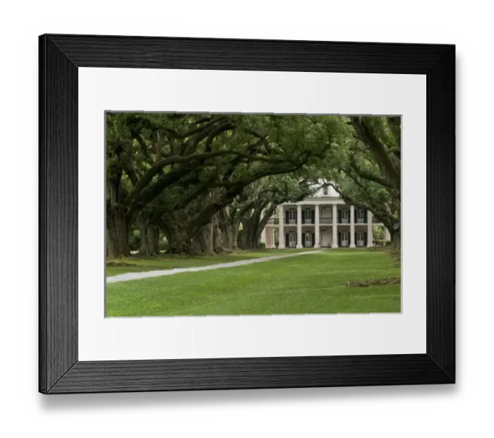 Framed Print : USA, Louisiana, St. James Parish, Vacherie. A classic view of Oak Alley Plantation Framed Print : USA, Louisiana, St. James Parish, Vacherie. A classic view of Oak Alley Plantation