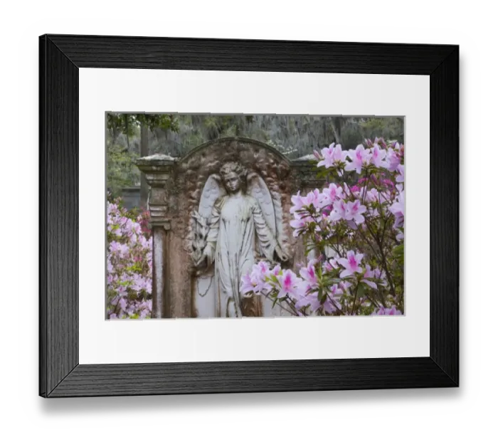 Framed Print : USA, Georgia, Savannah, Spring at historic Bonaventure Cemetery Framed Print : USA, Georgia, Savannah, Spring at historic Bonaventure Cemetery