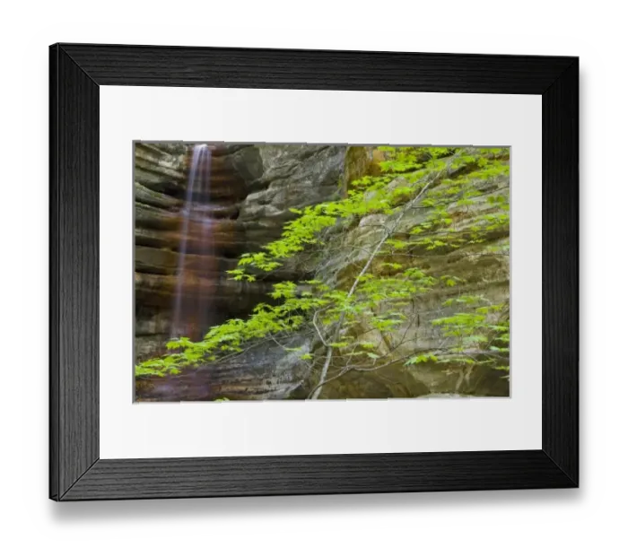 Framed Print : USA, North America, Illinois