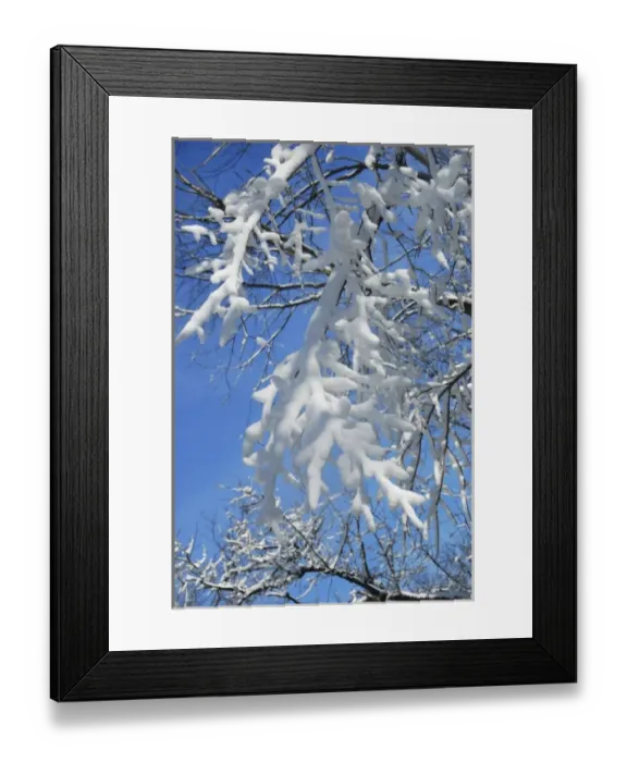 Framed Print : USA, Indianapolis, Indiana, Eagle Creek City Park