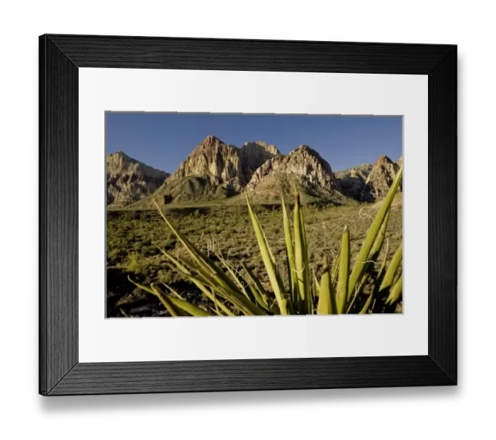 Framed Print : Pine Creek Trail, Red Rocks Canyon NCA, NV Framed Print : Pine Creek Trail, Red Rocks Canyon NCA, NV