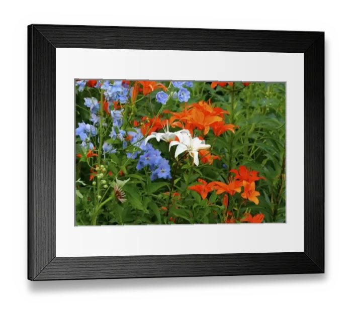 Framed Print : USA, Massachusetts, Shelburne Falls. Flowers on the Bridge of Flowers Framed Print : USA, Massachusetts, Shelburne Falls. Flowers on the Bridge of Flowers