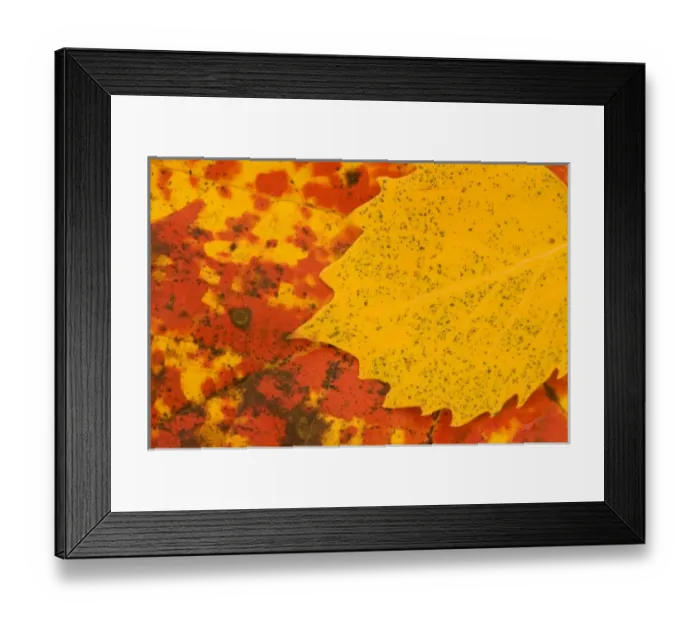 Framed Print : USA, North America, Maine Framed Print : USA, North America, Maine